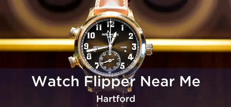 Watch Flipper Near Me Hartford